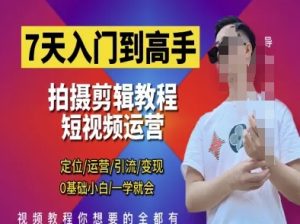 7天入门到高手，短视频剪辑运营高手课，定位 运营 引|流 变现，0基础小白一学就会-赚钱驿站