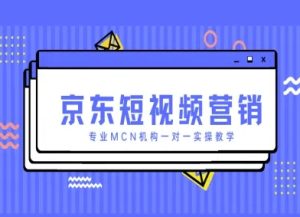 京东短视频营销项目,专业MCN机构一对一实操教学-赚钱驿站