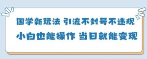 国学新玩法,引流不封号不违规小白也能操作,当日就能变现-赚钱驿站