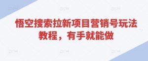 悟空搜索拉新项目营销号玩法教程,有手就能做-赚钱驿站