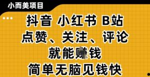 小而美的项目，抖音小红书B站视频点赞、关注、评论就能挣钱，简单无脑立见收益，妥妥的零撸项目【揭秘】-赚钱驿站