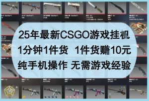 25年最新CSGO游戏挂G,1分钟1件货,1件货挣10元,纯手机操作,无需游戏经验【揭秘】-赚钱驿站
