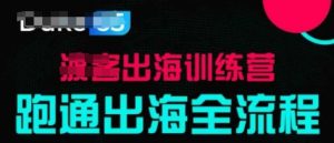 出海训练营基础课,跑通出海全流程,实战案例拆解-赚钱驿站