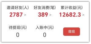 2025网盘拉新项目独家玩法，靠主项目支线做出全自动收益-赚钱驿站