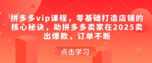 拼多多vip课程，零基础打造店铺的核心秘诀，助拼多多卖家在2025卖出爆款，订单不断-赚钱驿站