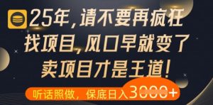 什么？25年你还在疯狂找项目做，醒醒吧，看完这些你全都懂了【揭秘】-赚钱驿站