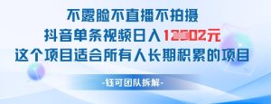 不露脸不直播不拍摄抖音单条视频日入1k+这个项目适合所有人长期积累的项目-赚钱驿站