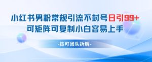 小红书男粉常规引流不封号日引99+变现简单 可矩阵可复制小白容易上手-赚钱驿站