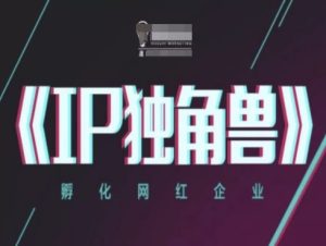 IP独角兽,孵化网红企业,ip教程-赚钱驿站