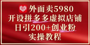 外面卖5980开设拼多多虚拟店铺:单日引流200+创业付费粉实战教程-赚钱驿站