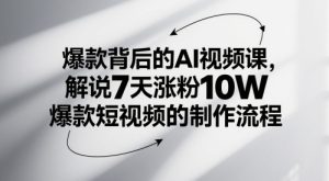 爆款背后的AI视频课，解说7天涨粉10W爆款短视频的制作流程-赚钱驿站