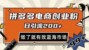 拼多多引流电商创业粉,日引200+,可矩阵放大,做了就有效【揭秘】-赚钱驿站