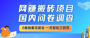 网创搬砖项目,国内问卷调查,小白轻松上手,一天三四张的也不难,干就完了【揭秘】-赚钱驿站