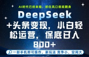 DeepSeek+头条变现,保姆级教学,小白轻松上手,日入8张+【揭秘】-赚钱驿站