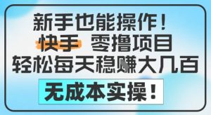 新手也能操作,快手零撸挣米,轻松每天挣2-5张,完全无成本-赚钱驿站