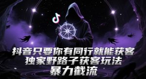 抖音只要你有同行就能获客，独家野路子获客玩法，暴力截流【揭秘】-赚钱驿站