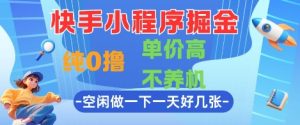 快手小程序掘金,纯0撸,单价高不养机 利用空闲时间做一做,一天好几张【揭秘】-赚钱驿站