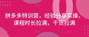 拼多多特训营，经验分享实操，课程时长拉满，干货拉满(更新25年4月)-赚钱驿站