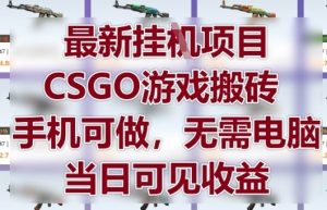 最新挂G项目，CSGO游戏搬砖，手机可做，无需电脑，当日见收益【揭秘】-赚钱驿站