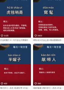 抖音最新涨粉玩法，图文方言暴力涨粉实操，126作品涨粉11W-赚钱驿站