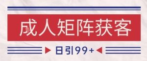 小红书某音橙人赛道引流获客,自热矩阵日引200+【揭秘】-赚钱驿站