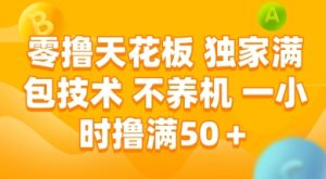 零撸天花板,独家满包技术 不养机 一小时撸满50+【揭秘】-赚钱驿站