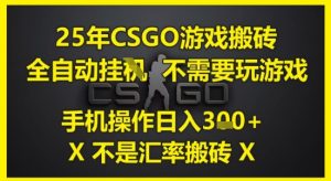 25年CSGO游戏搬砖，全自动运行，不需要玩游戏，手机操作日入3张(不是汇率搬砖)【揭秘】-赚钱驿站