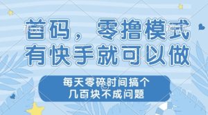 首码,零撸模式,有快手就可以做,每天零碎时间搞个几张不成问题【揭秘】-赚钱驿站