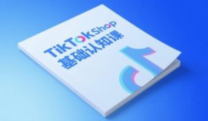 TikTok小店基础认知课,助力学员从 0 到 1 掌握 TikTok 电商运营全链路认知-赚钱驿站