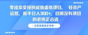 零成本变现的咸鱼虚拟项目, 轻资产运营,新手日入3张+,目前没有项目的老铁正合适-赚钱驿站