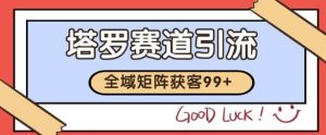 小红书某音塔罗赛道引流获客 自热矩阵日引200+【揭秘】-赚钱驿站