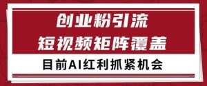 小红书某音创业赛道引流获客 自热矩阵日引200+【揭秘】-赚钱驿站