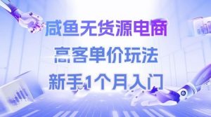 咸鱼无货源电商,高客单价玩法,新手1个月入门-赚钱驿站
