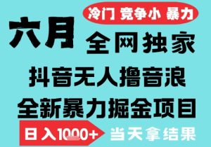 2025年6月高爆抖音无人直播最新撸音浪掘金项目,无脑日入1k+,低门槛小白可做,可矩阵放大【揭秘】-赚钱驿站