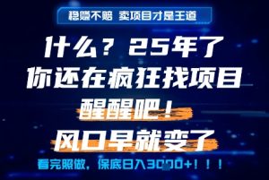 什么?25年你还在疯狂找项目做,醒醒吧,看完这些你全都懂了!【揭秘】-赚钱驿站