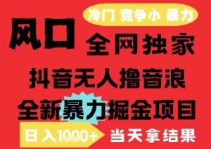 25年6月高爆抖音无人直播最新撸音浪掘金项目，解放双手小白可做，无脑日入1k+，门槛低【揭秘】-赚钱驿站