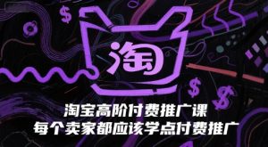 淘宝高阶付费推广课,每个卖家都应该学点付费推广-赚钱驿站