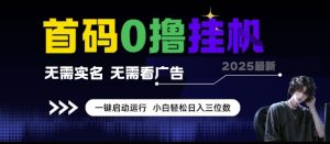 首码0撸挂G项目,无需实名无需看广告 一键启动运行,小白轻松日入三位数【揭秘】-赚钱驿站