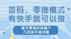 首码零撸项目,有快手就可以做,每天业务时间搞个几张不是问题【揭秘】-赚钱驿站