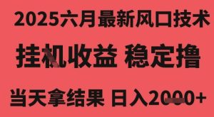 2025六月最新风口技术,无人挂G撸礼物,长期稳定 一个小时收益2k+,小白当天拿结果【揭秘】-赚钱驿站