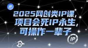 2025网创类IP课，项目会死IP永生，可操作一辈子-赚钱驿站