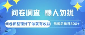 问卷调查，懒人勿扰，问卷都整理好了单价不等，做就有收益，熟练后单日3张【揭秘】-赚钱驿站