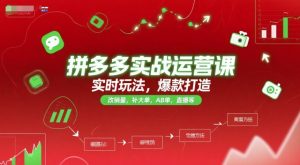 拼多多实战运营课,实时玩法,爆款打造,改销量,补大单,AB单,直播等(更新2025月)-赚钱驿站
