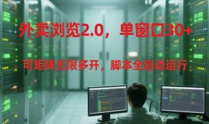 外卖浏览2.0,单窗口30+可矩阵无限多开,脚本全自动运行【揭秘】-赚钱驿站