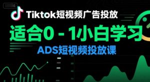 Tiktok短视频广告投放,适合0-1小白学习ADS短视频投放课-赚钱驿站