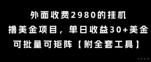 外面收费2980的挂G撸美金项目,单日收益30+美金,可批量可矩阵【揭秘】-赚钱驿站