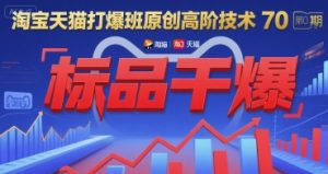 淘宝天猫打爆班原创高阶技术第70期:标品干爆-赚钱驿站