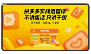 拼多多实战运营课,不讲废话只讲干货,简单粗暴,能落地,可复制-赚钱驿站