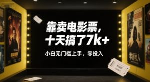 靠卖电影票，十天搞了7k+，小白无门槛上手，零投入【揭秘】-赚钱驿站