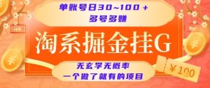 淘系掘金挂G项目,单账号日收益30~100+,多号多得,一个做了就有的项目【揭秘】-赚钱驿站